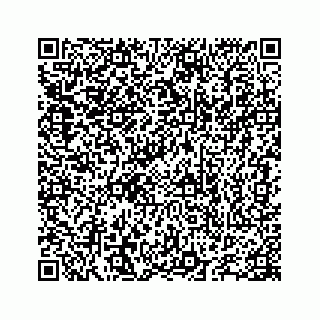 vCard 78655738325