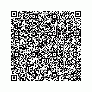 vCard 78655738329