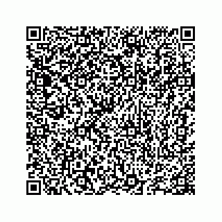 vCard 78655738331
