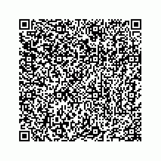 vCard 78655738333