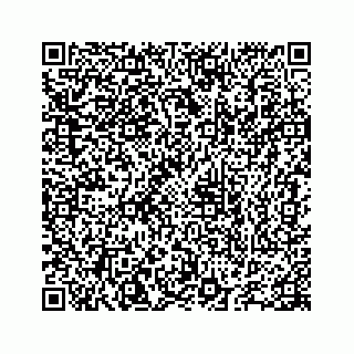 vCard 78655738335