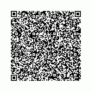 vCard 78655738341
