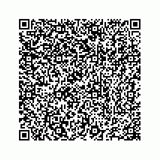 vCard 78655738355