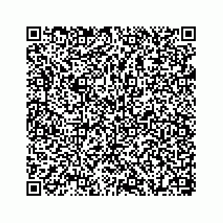 vCard 78655738356