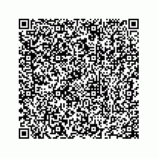 vCard 78655738358