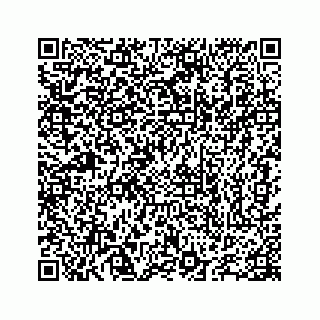 vCard 78655738363