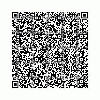 vCard 78655738365