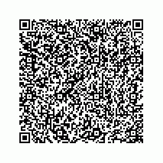 vCard 78655738370