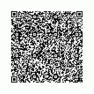 vCard 78655738378