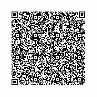 vCard 78655738379