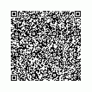 vCard 78655738390