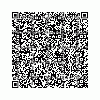 vCard 78655738391