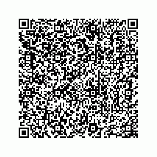 vCard 78655738393