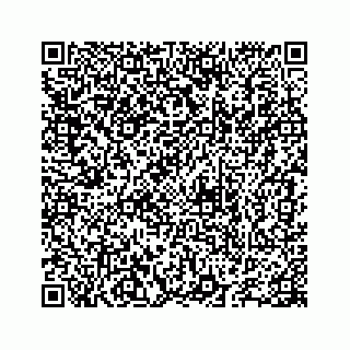 vCard 78655738399