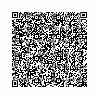 vCard 78655738403