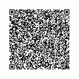 vCard 78655738411