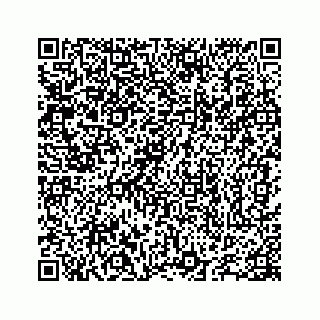 vCard 78655738413