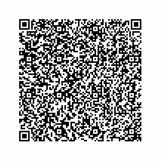vCard 78655738419