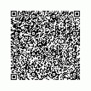vCard 78655738420