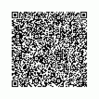 vCard 78655738428