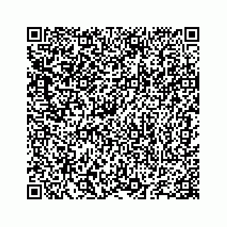 vCard 78655738431
