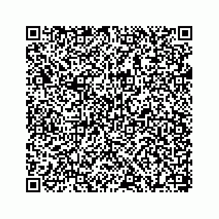 vCard 78655738441