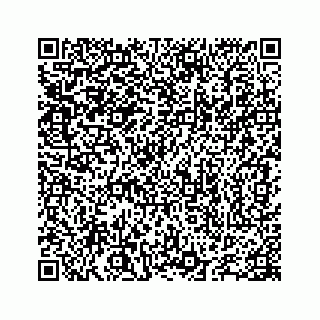 vCard 78655738497
