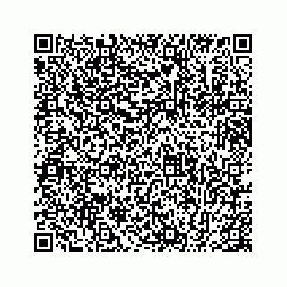 vCard 78655931316