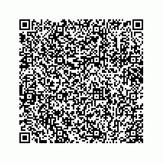vCard 78655931381