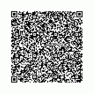 vCard 78655931382