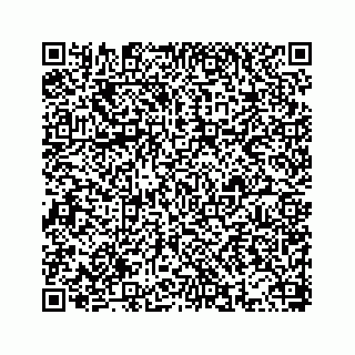 vCard 78655931384
