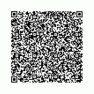 vCard 78655931385