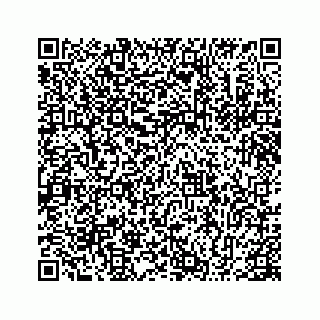 vCard 78655931389