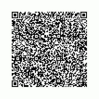 vCard 78655940288