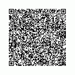 vCard 78655940333