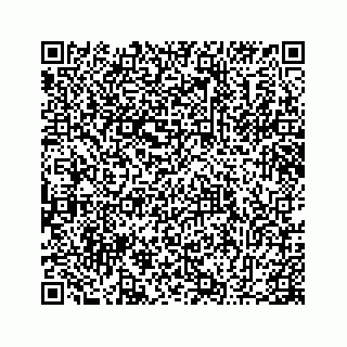 vCard 78655940371