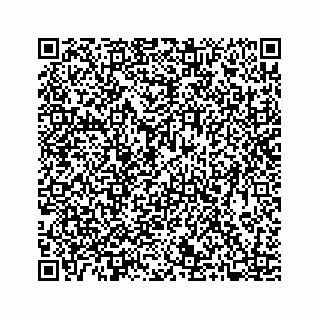 vCard 78655940381