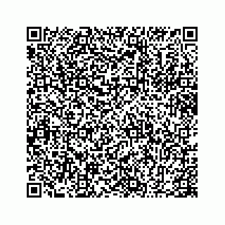 vCard 78655940383