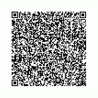 vCard 78655963136