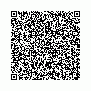 vCard 78656335203