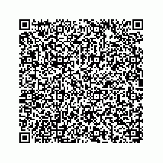 vCard 78656335204