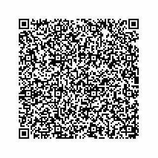 vCard 78656335209