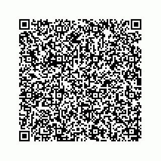 vCard 78656335240