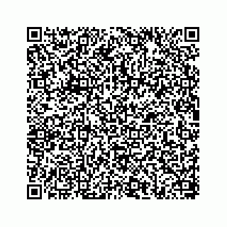 vCard 78656335241
