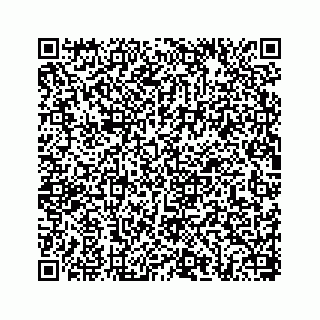 vCard 78656335248