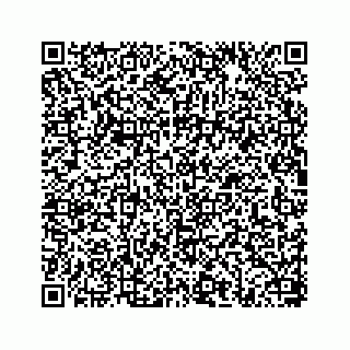 vCard 78656335249