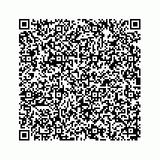 vCard 78656335252