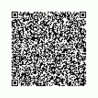 vCard 78656335260