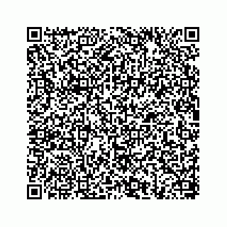vCard 78656335278