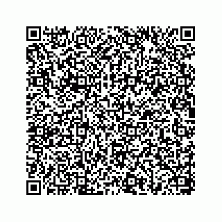 vCard 78656335281